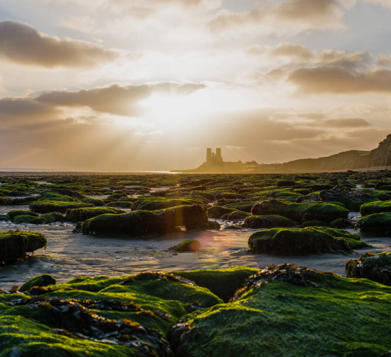 Herne Bay local area